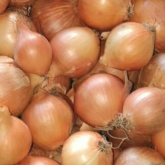 Ajuin (1kg)