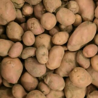 Aardappel 'Désirée' 2.5kg - (Bloemig tot kruimig)