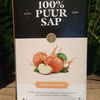 Appelsap 3L